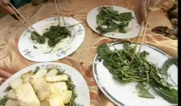 吃瓜直播间爆料西兰花,西兰花背后的神奇生长奥秘